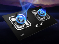 【现货】【包邮 包送装】vatti 华帝 节能超大火力 一体式铸铁炉头 360度循环供氧 180°火力调节阀体 多重安全保护 WB1013B (12T) 天然气燃气灶（内蒙古，新疆，西藏，青海，甘肃、宁夏等地区不包邮）