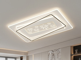 【包邮】 现代简约 铁+亚克力 客厅卧室系列 全屋套餐XY0117C黑-两室两厅-离线语音+遥控 黑色 两室两厅(含光源 LED贴片)（内蒙古，新疆，西藏，青海，甘肃、宁夏等地区不包邮 运费请咨询客服）