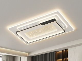 【包邮】 现代简约 铁+亚克力 客厅卧室系列 全屋套餐XY0220黑-两室一厅-三色变光 黑色 两室一厅(含光源 LED贴片)（内蒙古，新疆，西藏，青海，甘肃、宁夏等地区不包邮 运费请咨询客服）